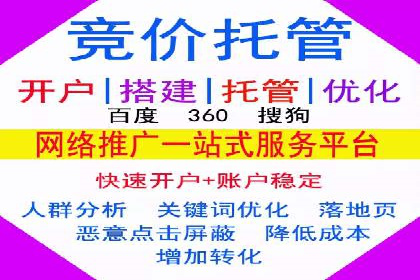 某公司SEM推广的失败教训与成功经验